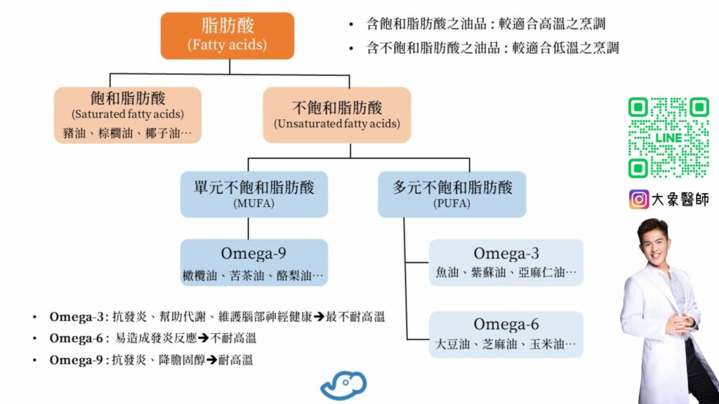 大象醫師介紹各種脂肪酸,包含多囊最需要的Omega-3