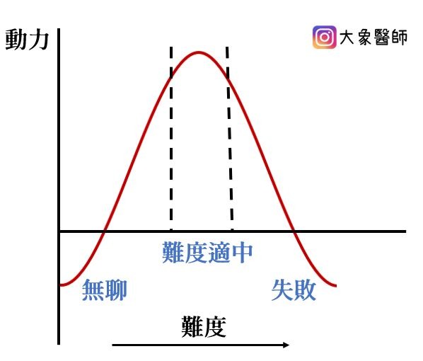 大象醫師聊金髮女孩原則