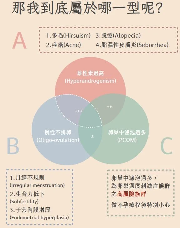 介紹頁3