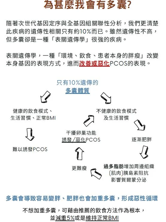 介紹頁3 1