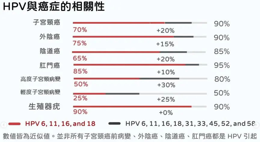 圖中是不同型別的HPV病毒跟癌症的關聯性。