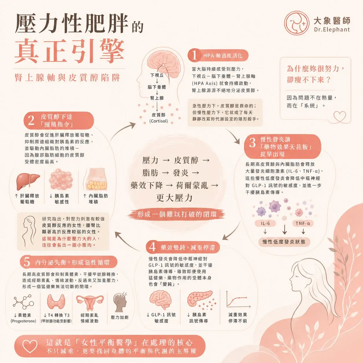 C61ce8ca 850f 4f8b 91dc 370841986709