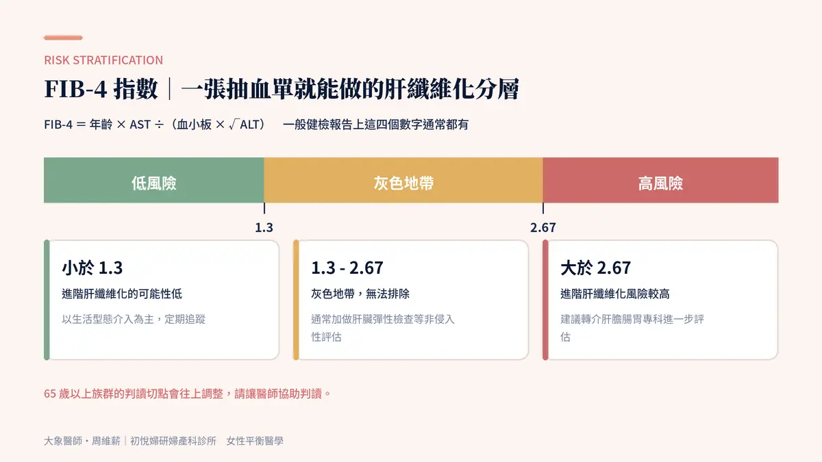 FIB-4 指數三段分層：1.3 與 2.67 兩個切點與後續處置