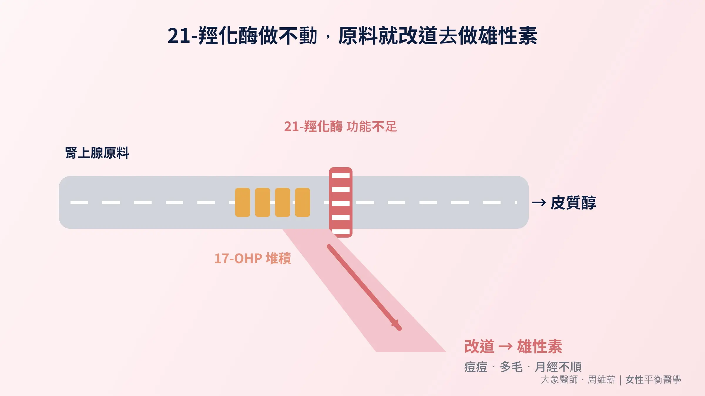 21-羥化酶做不動，原料改道去做雄性素